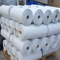 Bâche PE 100% étanche de haute qualité couverture de camion couverture de cargaison vente chaude bâches rouleau
