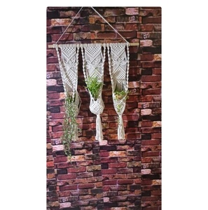 Decoración de Pared Elegante y Hermosa, Colgante de Pared Boho, Soporte de Macramé Personalizado para Plantas, Decoración de Pared y Ventana, Calidad Premium - Product Image 1