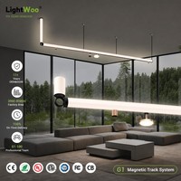 Système d'éclairage linéaire modulaire magnétique Baron extensible DIY 5 mm ultra-fin 48 V pour salon, cuisine, bureau, carré, hexagone
