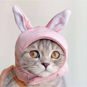 Chapeau mignon pour chat, vêtements pour lapin, rose, personnalisé, en polyester, hiver, chapeau pour lapin - Product Image 4