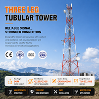Antenne de tour de télécommunication professionnelle en acier au carbone avec revêtement en zinc pour projet d'infrastructure de communication de réseau cellulaire