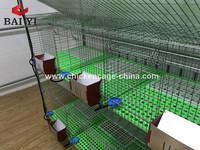 Nouvelle Conception Cage à Lapins à 3 Niveaux en Fil Galvanisé à Chaud avec Système d'Abreuvement Automatique pour l'Élevage Compact au Kenya