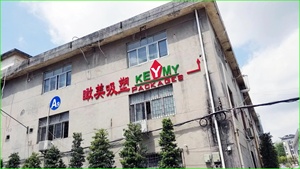 Kích cỡ khác nhau ODM vỉ vỏ sò gói hình dạng sống động tùy chỉnh vỉ vỏ sò bao bì - Product Image 4