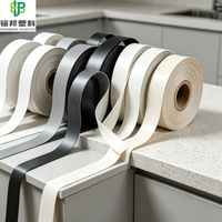 Option de personnalisation riche, bande de bordure en PVC ABS, respectueuse de l'environnement, pour des styles de meubles variés