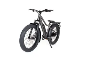 Elyx Ares 26 "4.0 비치 스노우 ebike 48V 250W 500W 전기 오토바이 전기 산악 지방 타이어 전기 자전거 최대 범위 55KM