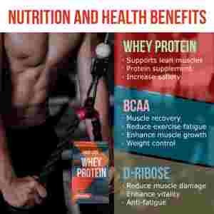 Taiwan Made OEM ODM Muscle Support Gym Récupération Supplément Muscle Building Protéine Soja Poudre - Product Image 4