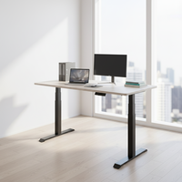 Bureau debout électrique automatique moderne et durable avec tiroir |   Chaise de travail ergonomique à moteur unique, réglable en hauteur, avec structure métallique, pour atelier, modèle 5
