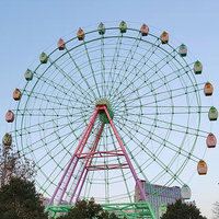 Équipement d'amusement de fête foraine de l'usine chinoise Manèges de grandes roues de haute qualité