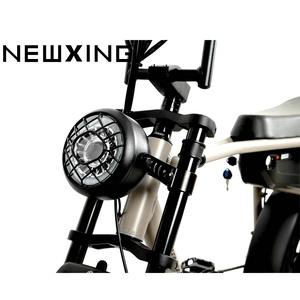 <span class=keywords><strong>MTB</strong></span> All Terrain <span class=keywords><strong>SUV</strong></span> Fahrrad NK20 Elektro fahrrad 1000w Fat Tire Mountain Ebike Cruiser Elektro fahrrad 73 Rahmen - Product Image 6