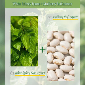 Vente chaude <span class=keywords><strong>perdre</strong></span> <span class=keywords><strong>du</strong></span> <span class=keywords><strong>poids</strong></span> produit probiotique Matcha saveur chocolat <span class=keywords><strong>perdre</strong></span> <span class=keywords><strong>du</strong></span> <span class=keywords><strong>poids</strong></span> rapidement - Product Image 5