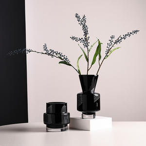 Ensemble de vases à fleurs en verre noir de style moderne, vase à fleurs hydroponique de bureau - Product Image 1