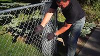Pluimveehouderij Hek En Trellis/Poort Specifieke Dierfokhuisuitrusting Te Koop