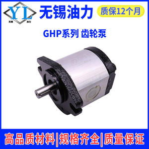 Pompes à engrenages Marzochi GHP1A et GHP2A-D-13/16/20/22-FG neuves et d'occasion en provenance d'Italie - Product Image 5