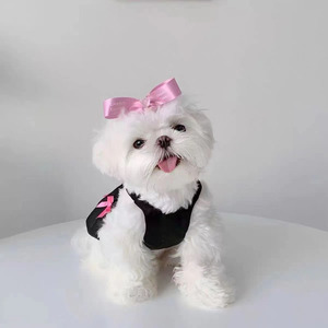<strong>Graceful</strong> Bowknot <strong>Pet</strong> Clothes Spring Summer Dog Yarn Cool Dress - Product Image 2