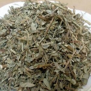 ก้านใบแห้งธรรมชาติของพืชป่าจีน ยี่ห้อเย่เซี่ยจู (<span class=keywords><strong>Phyllanthus</strong></span> Urinaria) - Product Image 3