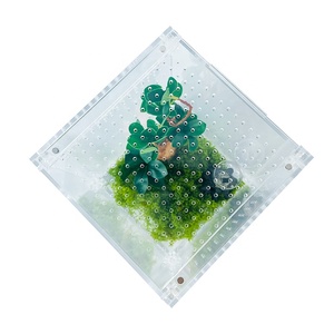 Boîte de terrarium en acrylique personnalisée haute transparence pour l'élevage et l'exposition des <span class=keywords><strong>reptiles</strong></span> - Product Image 5