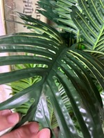 Plante de palmier en plastique de 160 cm sans pot, arbre artificiel pour la décoration intérieure de la maison et du bureau