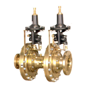 Reguladores de presión Emerson Tartarini Válvulas reductoras de presión de flujo axial Serie FL SR, SRS, <span class=keywords><strong>STP</strong></span> y STL con nuevo silenciador SRII - Product Image 3