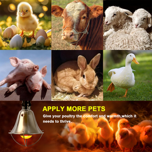 Инфракрасная лампа-обогреватель для животных с высокой яркостью, современная, металлическая, с рамой, для сохранения тепла - Product Image 5