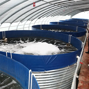 Tanque de Cría de Peces, <span class=keywords><strong>Piscina</strong></span> de Acuicultura de PVC+Acero Galvanizado para Cría de Peces y Ranas, Diámetro de 2m-30m, Certificado ISO9001 - Product Image 3