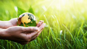 ที่ใส่คีย์การ์ดโรงแรม NFC RFID เป็นมิตรกับสิ่งแวดล้อมไม้ /<span class=keywords><strong>pla</strong></span> 13.56MHz ธรรมชาติสร้างแรงบันดาลใจการออกแบบ2-10ซม. ระยะการอ่าน - Product Image 6