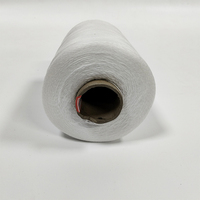 Haute qualité 100% rayonne teint 150g Polyester 250d 150d 120d rouge doré Viscose fil à broder pour la couture et le Crochet