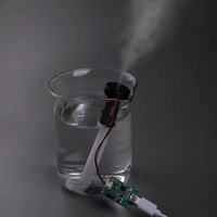 Module humidificateur atomiseur à pulvérisation unique Fervit sans interrupteur, pulvérisation à l'activation, accessoires électroniques DIY 28x18.7mm Modèle U76