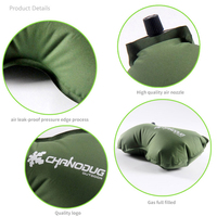 Oreiller gonflable portable en TPU pour le camping, oreiller de voyage compressible et imperméable pour la randonnée en plein air, le bureau et la détente