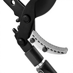 Sécateur télescopique robuste à batterie SK5 pour la coupe des hautes branches, idéal pour les arbres fruitiers et le jardinage - Product Image 2