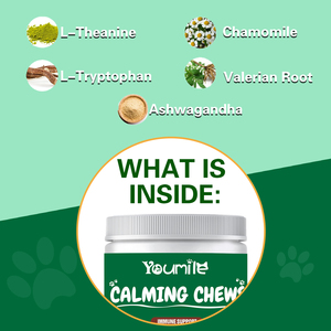 Nervousdogs Calming Chews kollajen probiyotik için toptan sıcak satış bağışıklık desteği düzenleyen