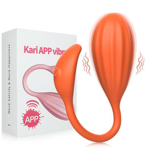 Vibrateur de point G pour femme contrô<span class=keywords><strong>l</strong></span>é par application, masseur œuf vibrant USB, jouet sexuel portable pour femmes et couples - Product Image 1
