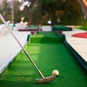 Golf konut bahçe yol kenarı yeşillik otel avlu kamu parkı ticari plaza için yapay çim