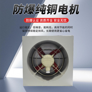 Ventilador Axial Antiexplosión XBDZ-5.6 de 24 Pulgadas, Montaje en Pared, Aleación de Aluminio, Blanco, 380V 220V, Rodamiento de Bolas Eléctrico, 1450 RPM - Product Image 3
