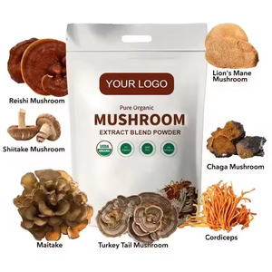 Bột nấm hữu cơ chiết xuất từ thực vật bán buôn: Linh chi, <span class=keywords><strong>Shiitake</strong></span>, Chaga, Turkey Tail, Nấm sư tử giúp tăng cường năng lượng và tập trung - Product Image 1