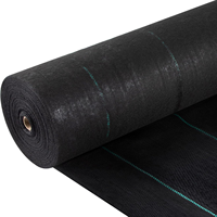 Toile de paillage robuste 110 g/m² stabilisée anti-UV, rouleau de couverture de sol agricole, tapis de contrôle des adventices 2x100m, couverture de sol pour verger