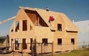 Lámina <span class=keywords><strong>De</strong></span> tablero <span class=keywords><strong>De</strong></span> <span class=keywords><strong>Osb</strong></span> <span class=keywords><strong>De</strong></span> construcción, material <span class=keywords><strong>De</strong></span> Casa prefabricado, garantía comercial, 9,5mm, 11,1mm, 11,5mm, 12mm - Product Image 2