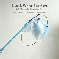 Jouet pour chat multi-styles avec plumes colorées et clochette, bâton de chatonnière résistant aux morsures, jouet d'intérieur pour le divertissement des chats, vente en gros