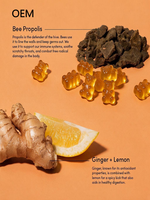 Gummies OEM Citron Gingembre 24 unités |   Soutien immunitaire naturel avec vitamine D, zinc et propolis. Déconseillé aux femmes enceintes.