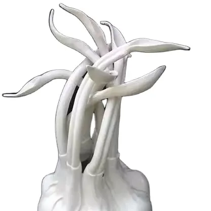 Low Cost Custom 3d printing Statue Model PLA FDM Joints Dragon Toys 3D Prototype