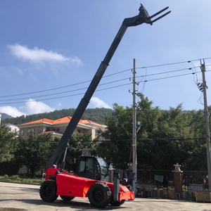 מלגזה קדמי קטן מלגזה הידראולי משאית דיזל 5t 6m 10m telhandler מושלם לבנייה - Product Image 1