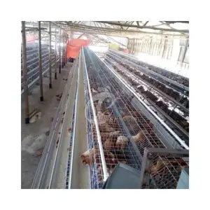 Équipement de volaille nouvellement conçu Fabrication galvanisée de poulets de chair de cages de batterie de cage de couvaison de poussins pour les poules pondeuses de Chine