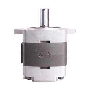Bombas Hidráulicas de Engranajes Internos Serie <span class=keywords><strong>IPV</strong></span> en Oferta: IPVP3, IPVP4, IPVP5, IPVP6, IPVP7, IPV3, IPV4, IPV5, IPV6, IPV7, IPVS5, IPVS6 - Product Image 4