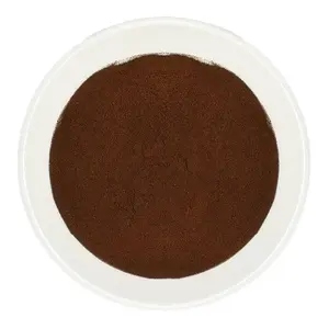 Alta qualidade Healthcare 100% Natural Wild Chaga Extrato Em Pó Puro Orgânico Chaga Cogumelo Extrato Em Pó