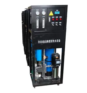Full Automatic Commercial Desalination Salt Water to Drinking Water System Water Purifying Machine on Sale