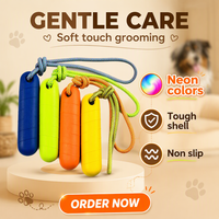 Jouet à mâcher pour chien en mousse EVA, balle de plage durable et populaire pour animaux de compagnie, résistante à l'eau, interactive, écologique, 22 cm, solide