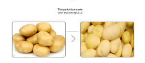 220V 모터 코어 부품 자동 고구마 필링 및 절단 가공 기계 다기능 - Product Image 2