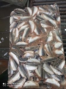 HGT istavrit balığı çin deniz ürünleri kapalı kuyruk kapalı yuvarlak Scad 7-9cm 9-11cm dondurulmuş balık Basa balık - Product Image 5