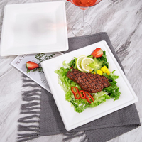 Vente en gros d'assiettes de fruits jetables sans PFAS assiette carrée compostable biodégradable plateau de pulpe de bagasse