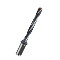 Foret à couronne HSS interchangeable, porte-flûte hélicoïdal avec un tige plate pour outil de perçage de trous dans le bois