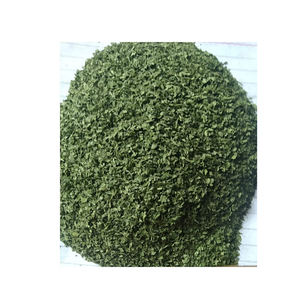 Molokhia Mulukhiyah triturado de alta calidad, semillas frescas, hierbas, especias, jengibre directamente de nuestras granjas en Egipto supervisadas por nuestro equipo - Product Image 2